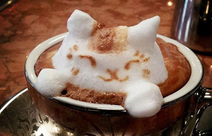 kafe_pab_kot_begemot_photo9