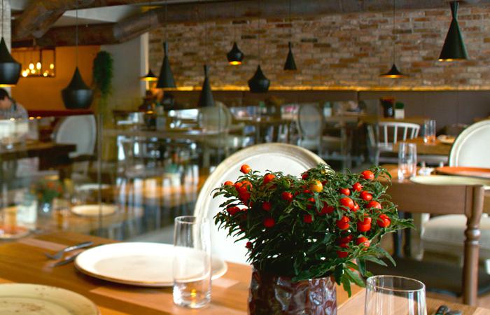 restoran_extra_virgin_photo1