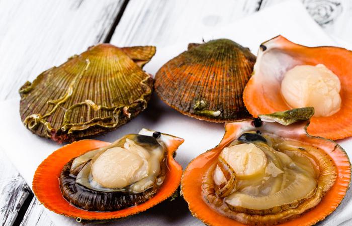 restoran_pescatore_photo14