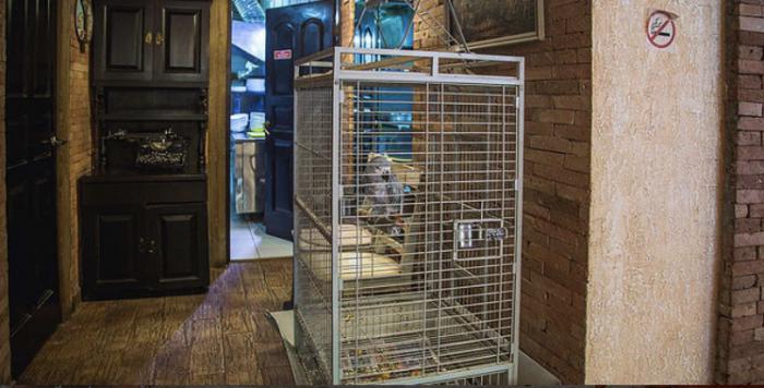 kafe_sam_prishel_photo8