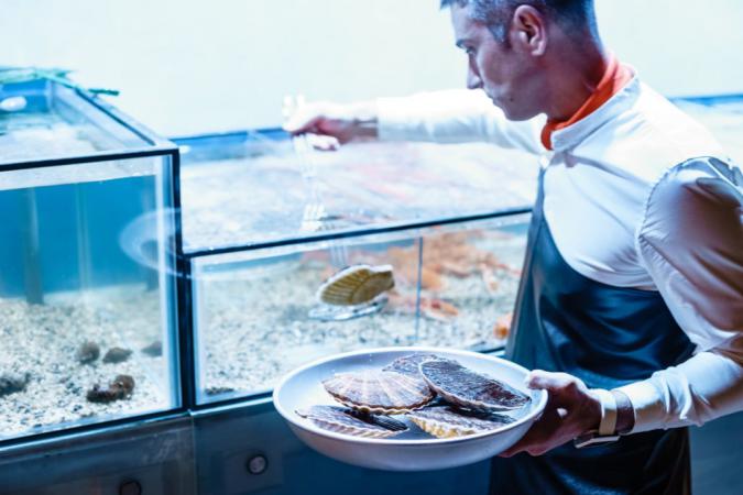 restoran_fish_me_photo5