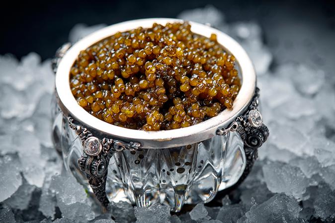 restaurant_beluga_photo_6