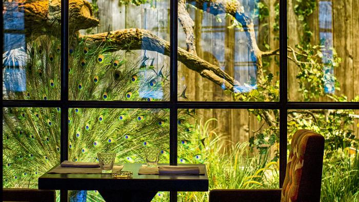 restaurant_shinok_photo1