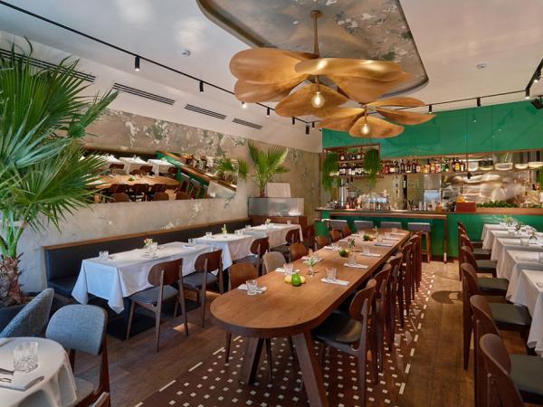 restaurant_avocado_queen_photo5