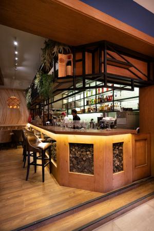 restoran_cedro_albero_photo_3