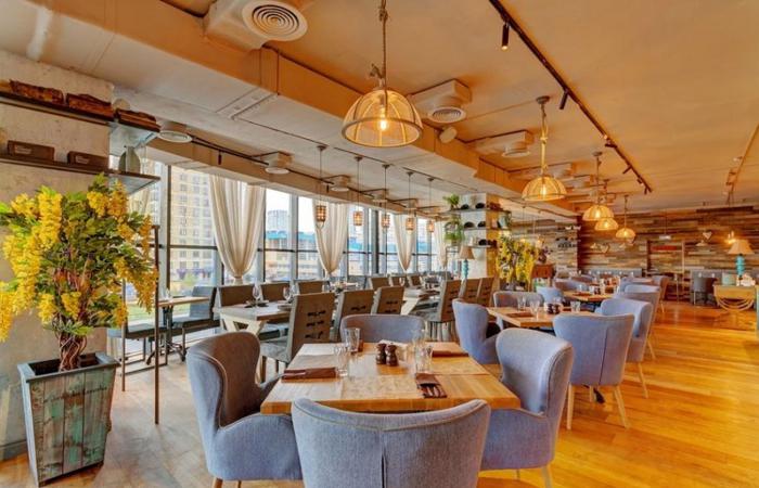 restoran_pioppo_albero_photo_3