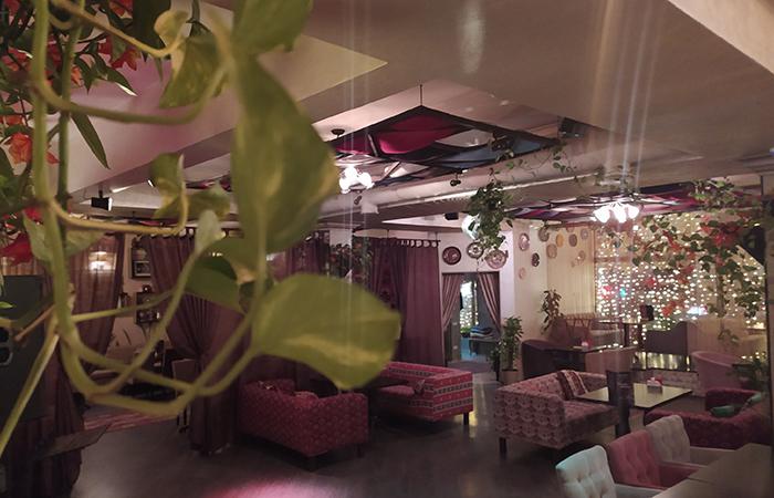 restaurant_noosh_photo10