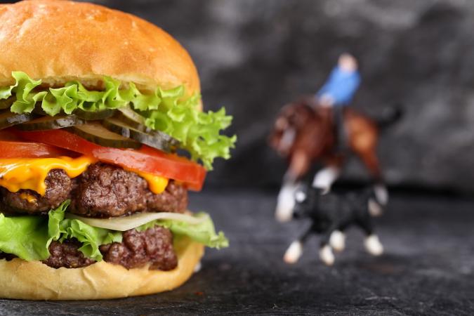 restaurant_ryby_net_photo_13