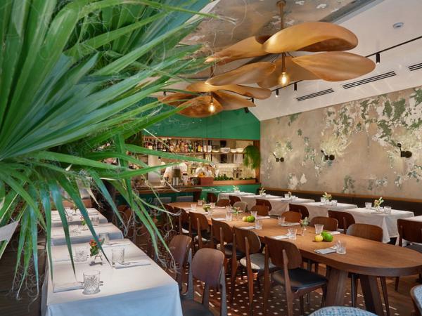 restaurant_avocado_queen_photo6