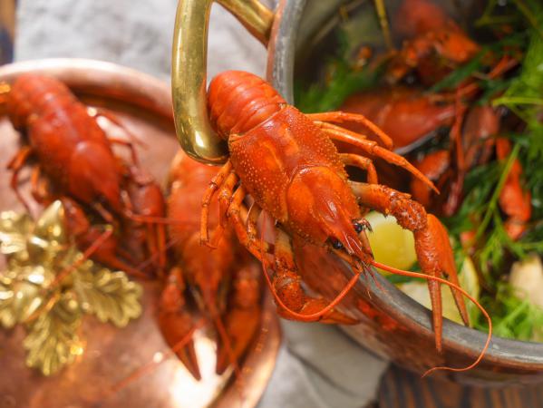 rakovarnya_na_trekhgorke_photo_13