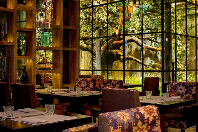 restaurant_shinok_photo8